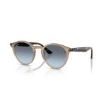 Ray-Ban Güneş Gözlüğü 0RB 2180 6788V1 49
