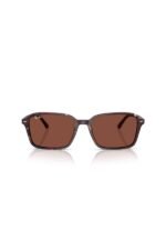 Ray-Ban Güneş Gözlüğü 0RB 2231 1416C5 56 - Görsel 4