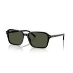 Ray-Ban Güneş Gözlüğü 0RB 2231 901/31 58 Unisex