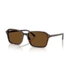 Ray-Ban Güneş Gözlüğü 0RB 2231 902/57 58 Unisex