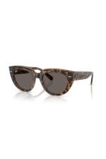 Ray-Ban Güneş Gözlüğü 0RB 2286 1292B1 52