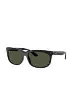 Ray-Ban Güneş Gözlüğü 0RB 2389 901/31 60 Unisex