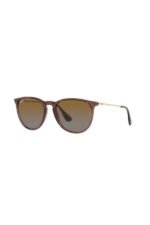 Ray-Ban Güneş Gözlüğü 0RB 4171 6593T5 54 Unisex