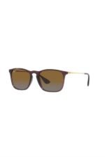 Ray-Ban Güneş Gözlüğü 0RB 4187 6593T5 54 Unisex
