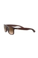 Ray-Ban Güneş Gözlüğü 0RB 4202 607313 55 Unisex - Görsel 3