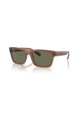 Ray-Ban Güneş Gözlüğü 0RB 4396 66789A 57 Unisex