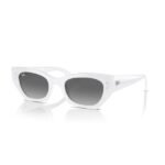 Ray-Ban Güneş Gözlüğü 0RB 4430 675911 49 Kadın