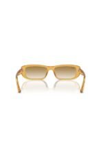Ray-Ban Güneş Gözlüğü 0RB 4436D 668213 55 - Görsel 4