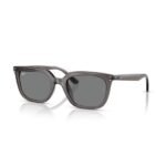 Ray-Ban Güneş Gözlüğü 0RB 4439D 667587 54