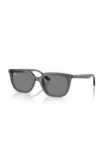 Ray-Ban Güneş Gözlüğü 0RB 4439D 667587 54