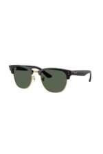 Ray-Ban Güneş Gözlüğü 0RB R0504S 6677VR 54