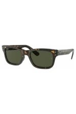 Ray-Ban Güneş Gözlüğü RB 2283 902-31 52 Unisex