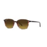 Ray-Ban Güneş Gözlüğü 0RB 2193 138085 53 Unisex