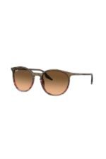 Ray-Ban Güneş Gözlüğü 0RB 2204 13953B 54 Unisex