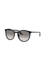 Ray-Ban Güneş Gözlüğü 0RB 2204 901/32 51 Unisex