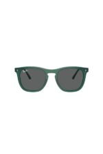 Ray-Ban Güneş Gözlüğü 0RB 2210 6615B1 53