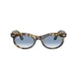 Ray-Ban Güneş Gözlüğü 0RB 2242 13323F 50