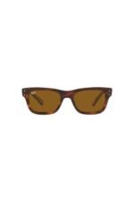 Ray-Ban Güneş Gözlüğü 0RB 2283 954/33 55 Unisex - Görsel 2