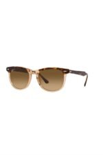 Ray-Ban Güneş Gözlüğü 0RB 2398 1292M2 53 Unisex