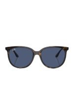 Ray-Ban Güneş Gözlüğü 0RB 4378 710/80 54 Unisex - Görsel 2