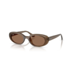 Ray-Ban 0RB 4441D 677973 53 Kadın Güneş Gözlüğü
