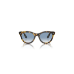 Ray-Ban 0RB 2241 13323F 51 Unisex Güneş Gözlüğü - Görsel 2