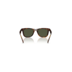 Ray-Ban RB4105 710 31 50 Erkek Güneş Gözlüğü - Görsel 5