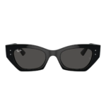 Ray-Ban 0RB 4430 667787 49 Unisex Güneş Gözlüğü